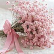 ヒメ日記 2025/06/19 08:15 投稿 小春 まな CUORE(クオレ)