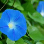 ヒメ日記 2025/07/21 07:15 投稿 小春 まな CUORE(クオレ)