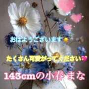 ヒメ日記 2025/08/20 07:15 投稿 小春 まな CUORE(クオレ)