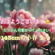 ヒメ日記 2025/08/21 07:05 投稿 小春 まな CUORE(クオレ)