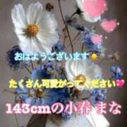 ヒメ日記 2025/08/30 07:15 投稿 小春 まな CUORE(クオレ)