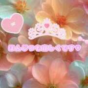 ヒメ日記 2025/09/24 07:15 投稿 小春 まな CUORE(クオレ)