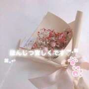 ヒメ日記 2025/09/27 07:15 投稿 小春 まな CUORE(クオレ)