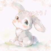 ヒメ日記 2025/12/14 07:15 投稿 小春 まな CUORE(クオレ)