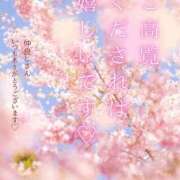 ヒメ日記 2026/03/13 08:35 投稿 小春 まな CUORE(クオレ)