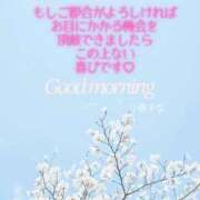 ヒメ日記 2026/03/20 08:45 投稿 小春 まな CUORE(クオレ)