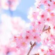 ヒメ日記 2026/04/13 07:05 投稿 小春 まな CUORE(クオレ)