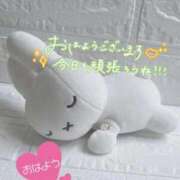 ヒメ日記 2026/10/03 09:05 投稿 小春 まな CUORE(クオレ)