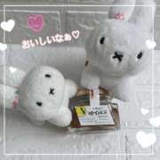 ヒメ日記 2026/10/12 07:05 投稿 小春 まな CUORE(クオレ)