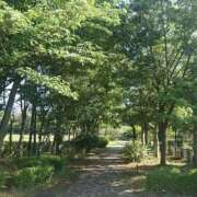 ヒメ日記 2025/10/13 19:29 投稿 小山まゆみ 美魔女エステ