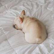 小山まゆみ ※無題 美魔女エステ