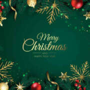 ヒメ日記 2025/12/25 12:27 投稿 小山まゆみ 美魔女エステ