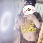 ヒメ日記 2025/06/15 01:26 投稿 らら My Essentials