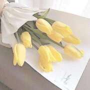 ヒメ日記 2025/11/19 21:04 投稿 柚（ゆず） ROYAL FACE FUKUOKA