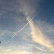 ヒメ日記 2025/06/23 07:27 投稿 天野 ひすい HANA-okinawa-