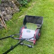 ヒメ日記 2025/07/31 18:18 投稿 天野 ひすい HANA-okinawa-