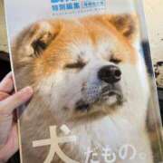 ヒメ日記 2025/08/19 13:03 投稿 天野 ひすい HANA-okinawa-