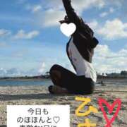 ヒメ日記 2025/08/20 08:15 投稿 天野 ひすい HANA-okinawa-