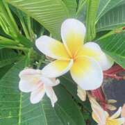 ヒメ日記 2025/09/21 19:18 投稿 天野 ひすい HANA-okinawa-