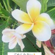 ヒメ日記 2025/09/26 12:09 投稿 天野 ひすい HANA-okinawa-