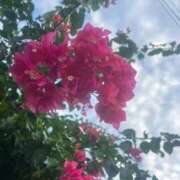 ヒメ日記 2025/10/30 17:03 投稿 天野 ひすい HANA-okinawa-