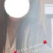 ヒメ日記 2025/11/03 09:33 投稿 天野 ひすい HANA-okinawa-