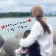 ヒメ日記 2025/11/03 12:19 投稿 天野 ひすい HANA-okinawa-