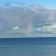 ヒメ日記 2025/11/06 09:18 投稿 天野 ひすい HANA-okinawa-