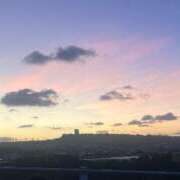 ヒメ日記 2025/11/08 08:33 投稿 天野 ひすい HANA-okinawa-