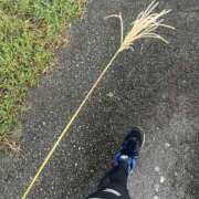 ヒメ日記 2025/11/16 09:03 投稿 天野 ひすい HANA-okinawa-