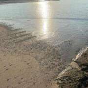 ヒメ日記 2025/11/23 10:03 投稿 天野 ひすい HANA-okinawa-