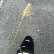 ヒメ日記 2025/11/26 09:42 投稿 天野 ひすい HANA-okinawa-