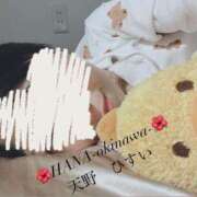 ヒメ日記 2025/11/30 00:03 投稿 天野 ひすい HANA-okinawa-