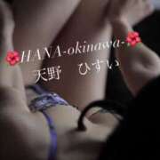 ヒメ日記 2025/12/22 08:36 投稿 天野 ひすい HANA-okinawa-