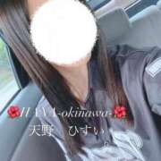 ヒメ日記 2026/01/02 17:18 投稿 天野 ひすい HANA-okinawa-