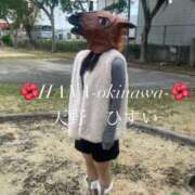 ヒメ日記 2026/01/02 23:03 投稿 天野 ひすい HANA-okinawa-