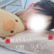 ヒメ日記 2026/01/04 23:48 投稿 天野 ひすい HANA-okinawa-