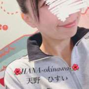 ヒメ日記 2026/01/18 21:03 投稿 天野 ひすい HANA-okinawa-