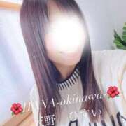 ヒメ日記 2026/02/01 09:33 投稿 天野 ひすい HANA-okinawa-