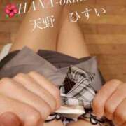 ヒメ日記 2026/02/11 10:03 投稿 天野 ひすい HANA-okinawa-