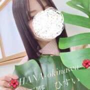 ヒメ日記 2026/02/15 22:18 投稿 天野 ひすい HANA-okinawa-