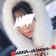 ヒメ日記 2026/02/24 09:33 投稿 天野 ひすい HANA-okinawa-