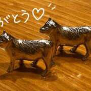ヒメ日記 2026/05/10 00:30 投稿 天野 ひすい HANA-okinawa-