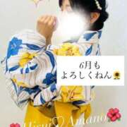 ヒメ日記 2026/06/01 08:03 投稿 天野 ひすい HANA-okinawa-