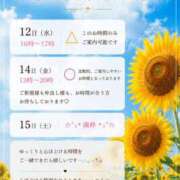ヒメ日記 2026/08/11 08:03 投稿 天野 ひすい HANA-okinawa-