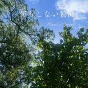 ヒメ日記 2026/08/29 16:53 投稿 天野 ひすい HANA-okinawa-