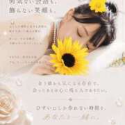 ヒメ日記 2026/10/11 09:33 投稿 天野 ひすい HANA-okinawa-
