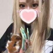 ヒメ日記 2025/07/07 13:49 投稿 かな buzz-B