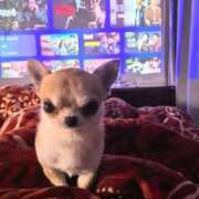 ヒメ日記 2025/07/19 15:03 投稿 かな buzz-B