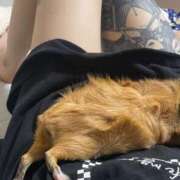 ヒメ日記 2025/10/01 15:16 投稿 かな buzz-B